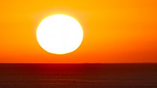 Image 1173775 (auto)