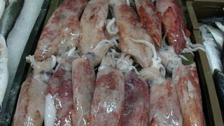 Image 1207659 (auto)