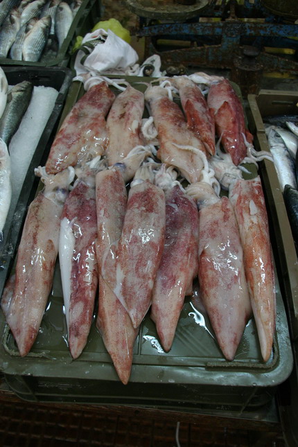 Image 1207659 (auto)