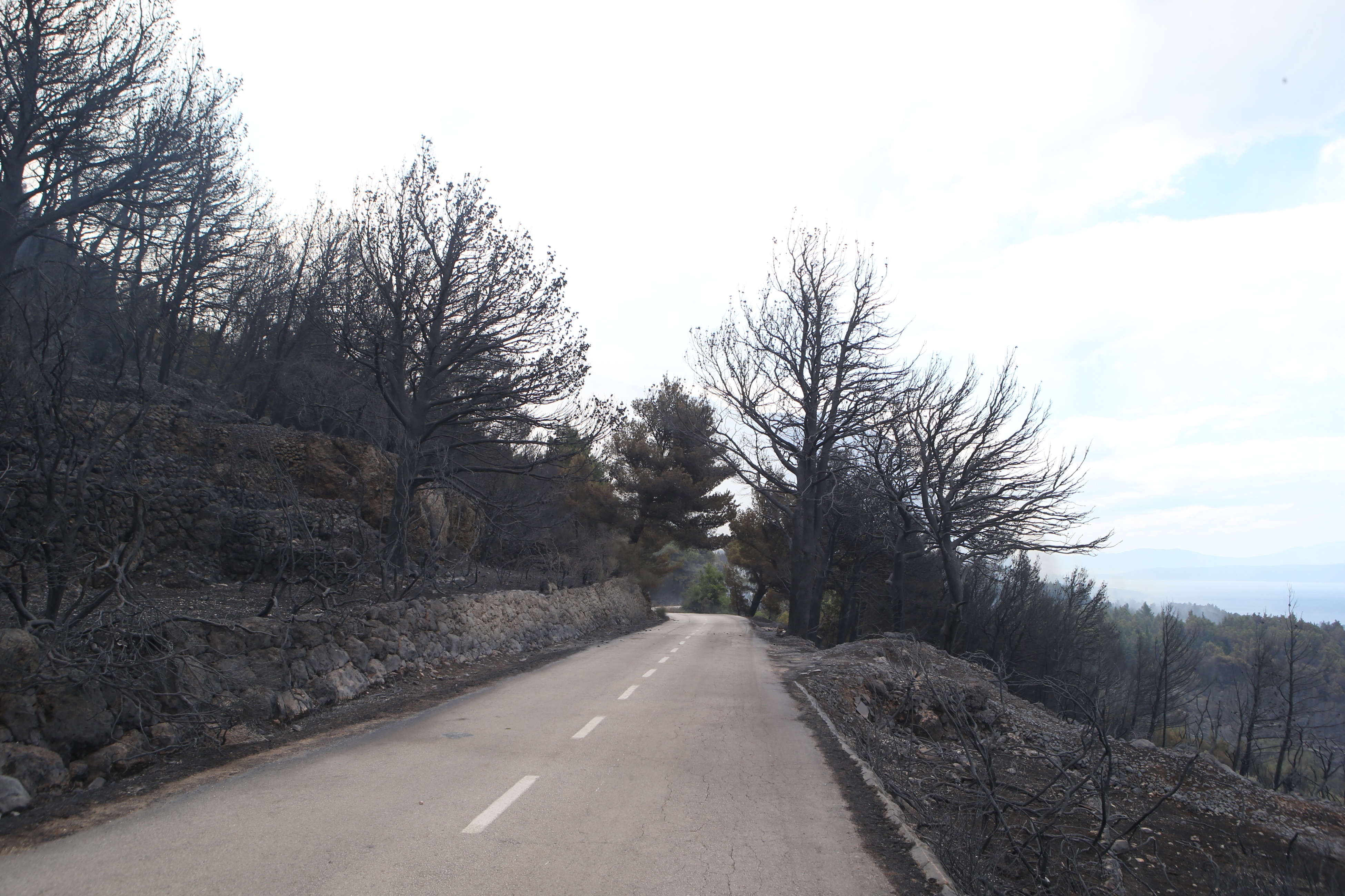 Požar na padinama Biokova Požar na padinama Biokova