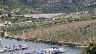 Primošten. Počela berba grožđa od kojeg se pravi svjetski poznato vino Babić. Photo: Duško Jaramaz/PIXSELL Primošten. Počela berba grožđa od kojeg se pravi svjetski poznato vino Babić. Photo: Duško Jaramaz/PIXSELL