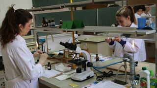 U Zadru po treći put održano Državno natjecanje u sektoru poljoprivreda, prehrana, veterina