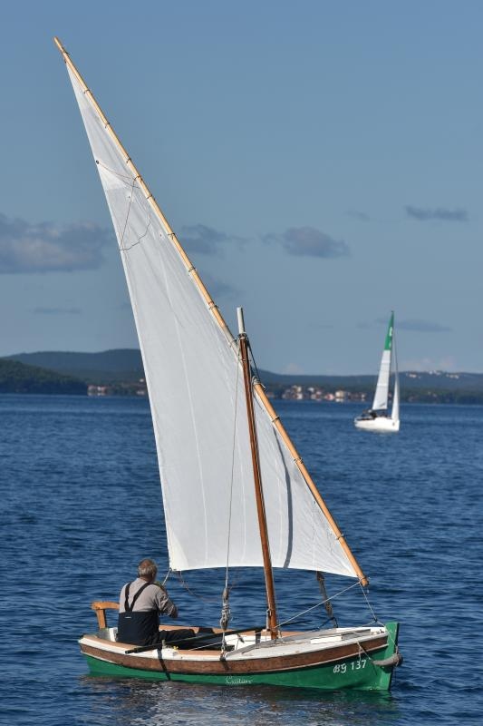 Start jedriličarske regate Zadarska koka