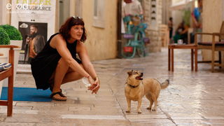 Đir po gradu, srijeda 24. srpnja 2019. Đir po gradu, srijeda 24. srpnja 2019.