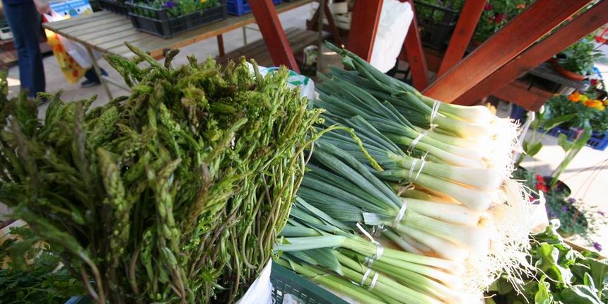 Šparoge i mlada kapulica