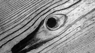 Braća Brkan: Slike sna i svjetlosti Braća Brkan: Slike sna i svjetlosti