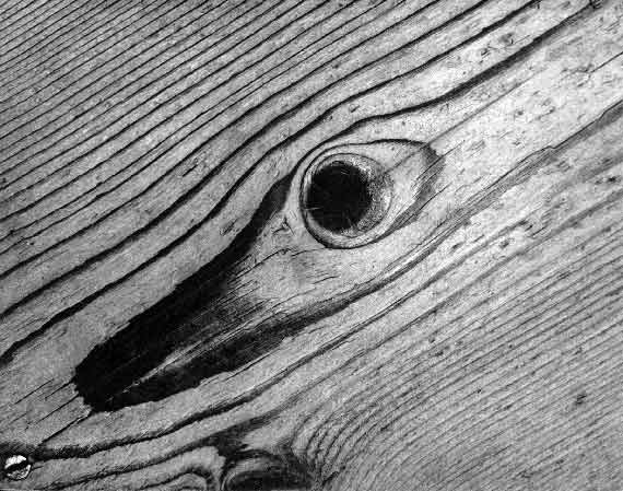 Braća Brkan: Slike sna i svjetlosti Braća Brkan: Slike sna i svjetlosti