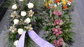 Zadarski studenti na Mirogoju odali počast Tomislavu Ivčiću Zadarski studenti na Mirogoju odali počast Tomislavu Ivčiću