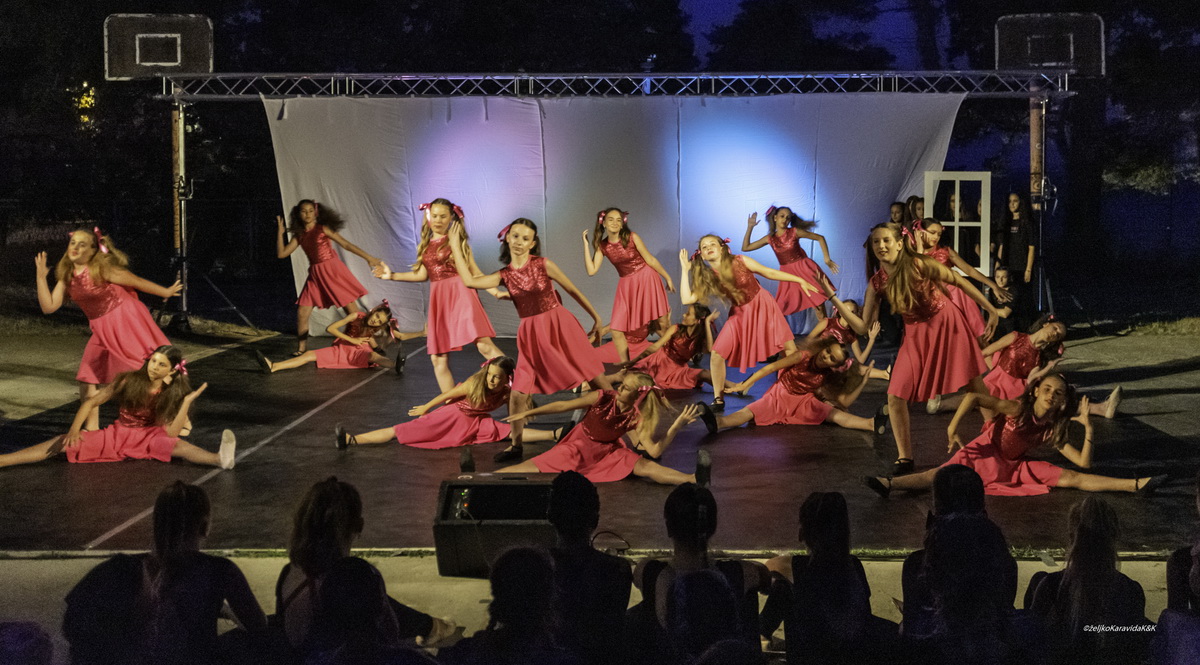 Gesta obilježila 20 godina djelovanja Gesta obilježila 20 godina djelovanja