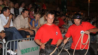 Image 1088969 (auto)