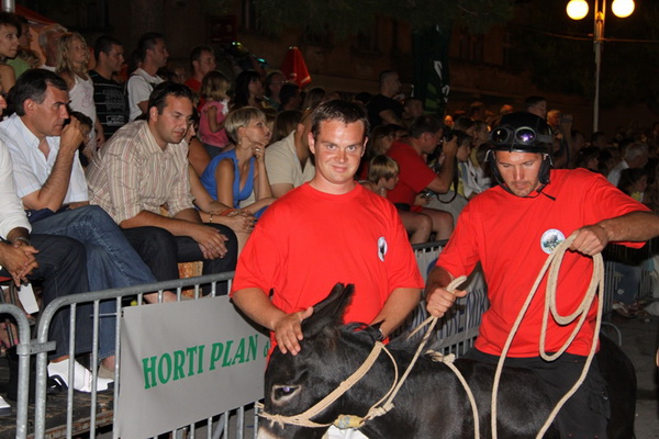 Image 1088969 (auto)