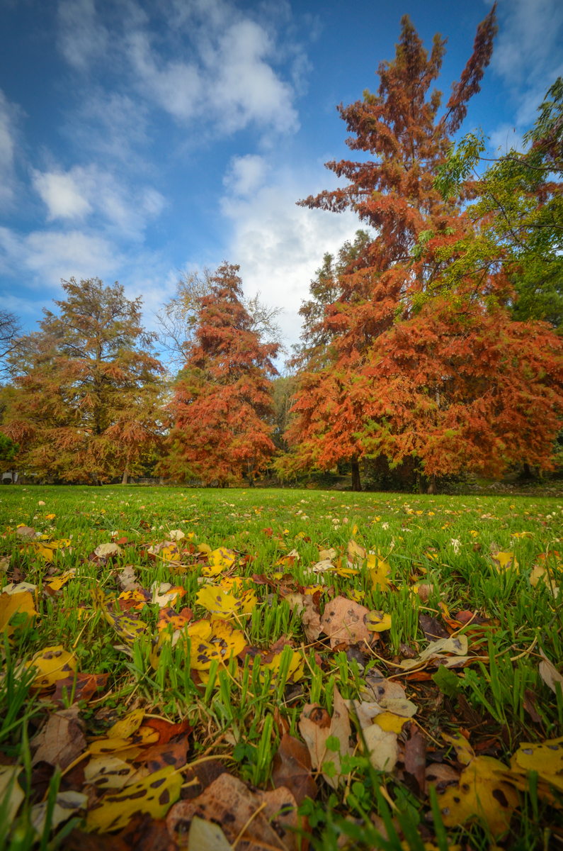 Jesenski đir po gradu, 15. studenog 2014. , foto: Marin Pitton Jesenski đir po gradu, 15. studenog 2014. , foto: Marin Pitton
