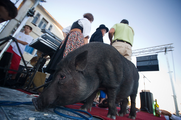51. Saljske užance, 8. kolovoza 2010. (foto:Saša Čuka)