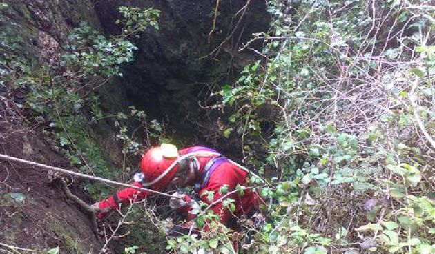 hgss, spašavanje psa