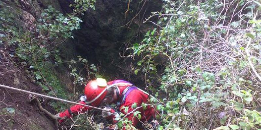 hgss, spašavanje psa