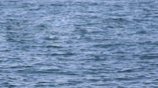 Bablje ljeto u Zadru 23. rujna 2009.