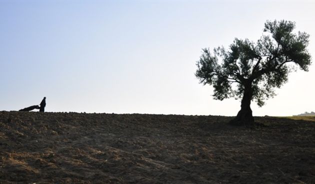 Trening čitanja poezije i berlinska queer-scena