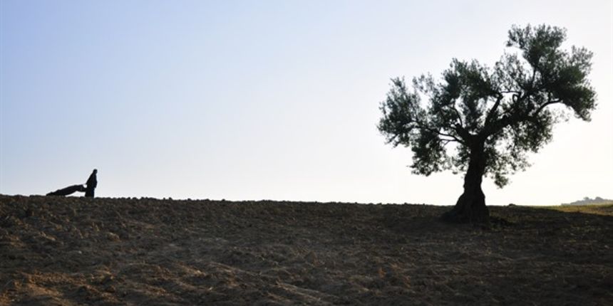 Trening čitanja poezije i berlinska queer-scena