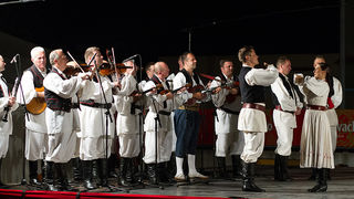 Bibinje: Nastup ansambla Lado, foto: Leo Banić