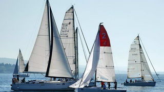 “Zadarska koka”: Regata za sve generacije snimljena iz “koke” “Zadarska koka”: Regata za sve generacije snimljena iz “koke”