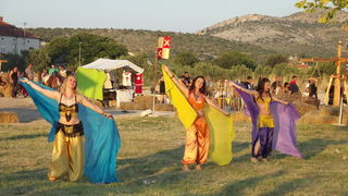 Dani vitezova vranskih, 19. srpnja 2014.