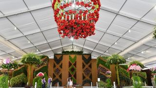 Pogledajte cvijetne fantazije na 53. Floraartu