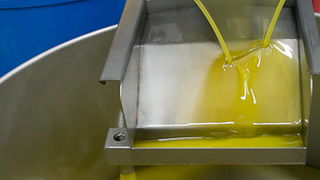 Put masline od stabla do djevicanskog ulja, Foto: Leo Banic Put masline od stabla do djevicanskog ulja, Foto: Leo Banic