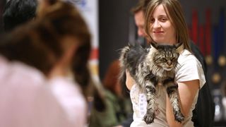 Pogledajte kako je bilo na Međunarodnoj izložbi mačaka u Westgateu