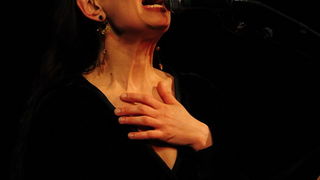 HNK Zadar: Koncert Jasne Bilusic i New Deala, Foto: Nenad Marcev