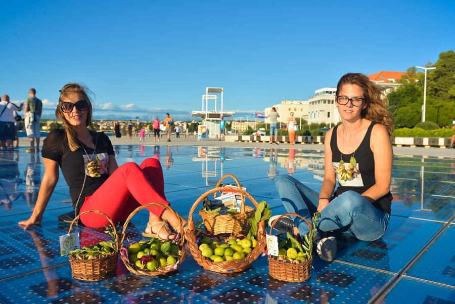 Festival smokava na Pozdravu suncu Festival smokava na Pozdravu suncu