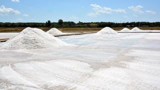 Nin – Povijesni gradic Nin pokraj Zadra za svoju prepoznatljivost ima nadaleko poznatu i najstariju hrvatsku solanu. Pod geslom “Prica o soli…” i dan danas se sol proizvodi na tradicionalan nacin. Photo: Damir Spehar/PIXSELL Nin – Povijesni gradic Nin pokraj Zadra za svoju prepoznatljivost ima nadaleko poznatu i najstariju hrvatsku solanu. Pod geslom “Prica o soli…” i dan danas se sol proizvodi na tradicionalan nacin. Photo: Damir Spehar/PIXSELL