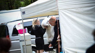 16. Međunarodna izložba pasa CACIB Zadar – Prvak prvaka 2016. 16. Međunarodna izložba pasa CACIB Zadar – Prvak prvaka 2016.