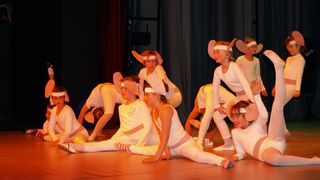 Plesno kazalisna udruga Zalet