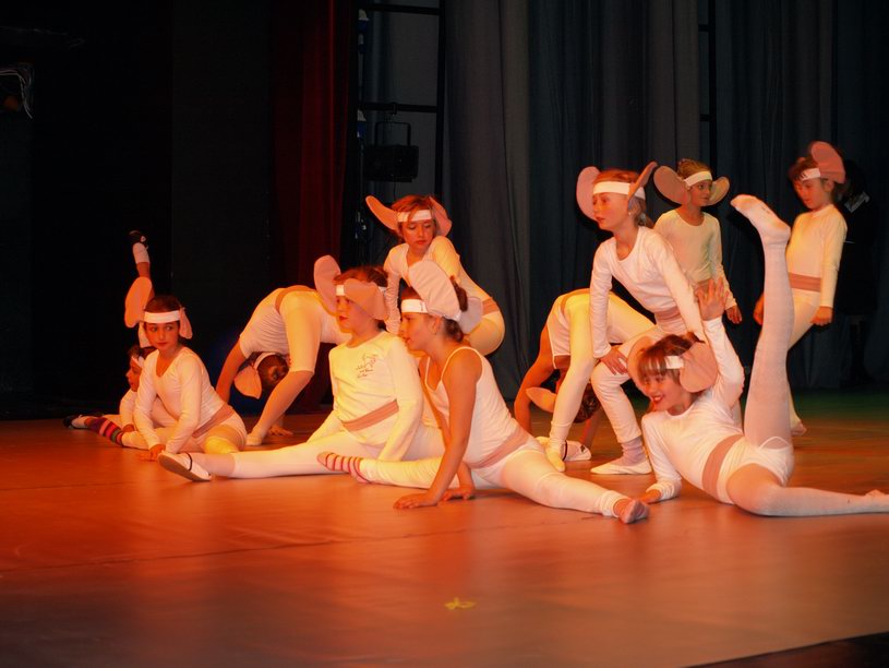 Plesno kazalisna udruga Zalet