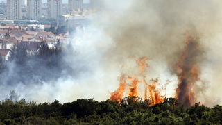 Zadar, 270810
Veliki pozar izbio je danas popodne u Zadru na podrucju izmedju kvarta Bili brig i put Bokanjca. Vatrogasci su i dalje na terenu te se bore sa vatrom da ne dodje do obliznjih kuca.
Foto: Jure Miskovic / CROPIX