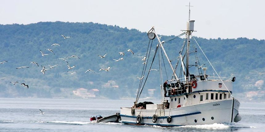 Koca – Ribari Koca – Ribari