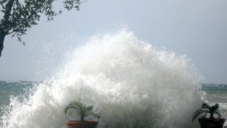 Tramontana u Diklu 26. kolovoza 2012., Foto: Natali Bukvić