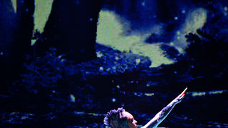 Lord of the dance, foto:Iva Perinčić Lord of the dance, foto:Iva Perinčić