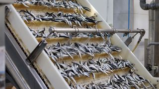 Predsjednik Milanović posjetio je tvrtku Mardešić u Salima