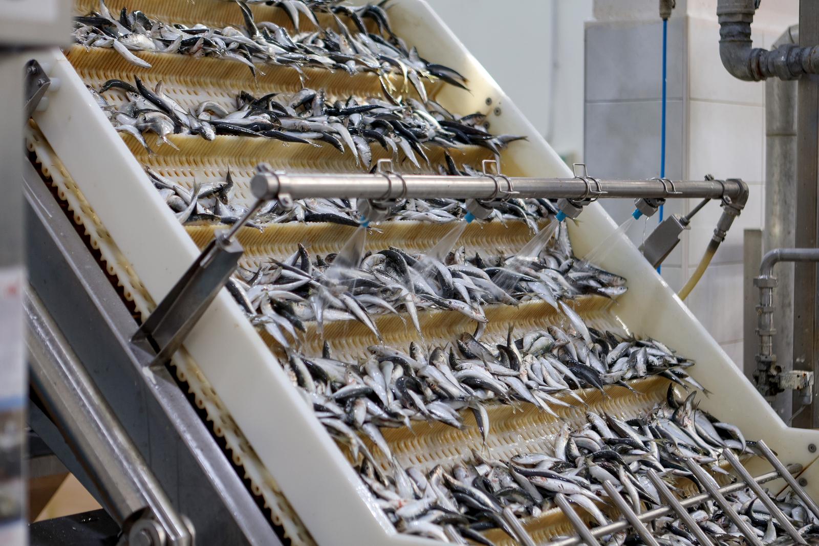 Predsjednik Milanović posjetio je tvrtku Mardešić u Salima