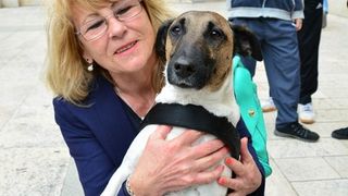 Skup podrške za NO KILL skloništa za životinje,  foto Iva Perinčić