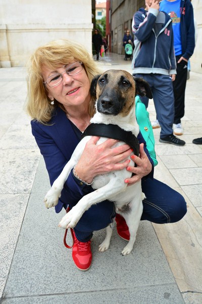 Skup podrške za NO KILL skloništa za životinje,  foto Iva Perinčić