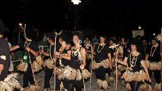 Ljetni karneval 2011. u Biogradu na Moru, Foto. Franjo Jurić