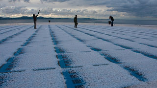 Pozdrav suncu prekriven ledenim pokrivacem 26. studenog 2010, Foto: Leo Banic