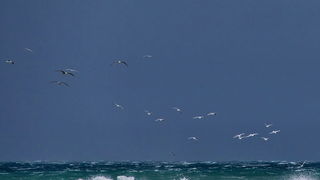 Olujno jugo u Zadru, nedjelja 6. prosinca 2020. godine