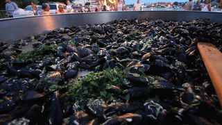 Gastro manifestacija “Bibinjski gušti” – druga večer Gastro manifestacija “Bibinjski gušti” – druga večer