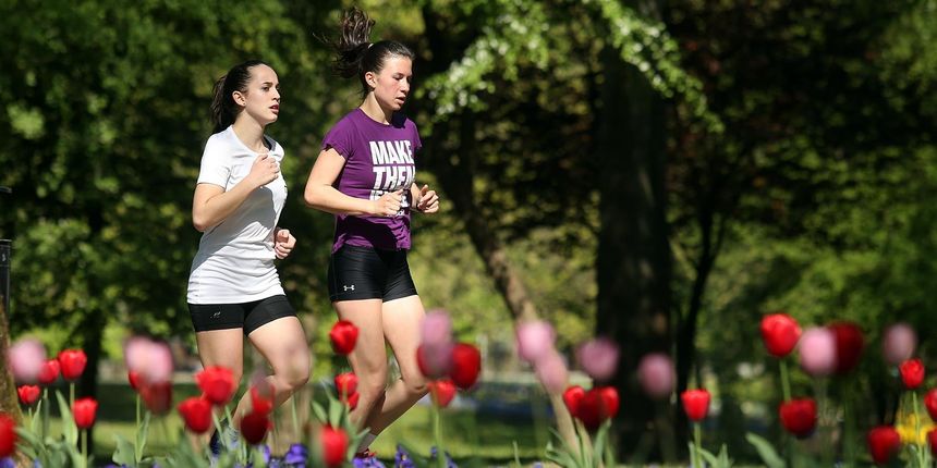 Kros, trčanje kroz prirodu Kros, trčanje kroz prirodu
