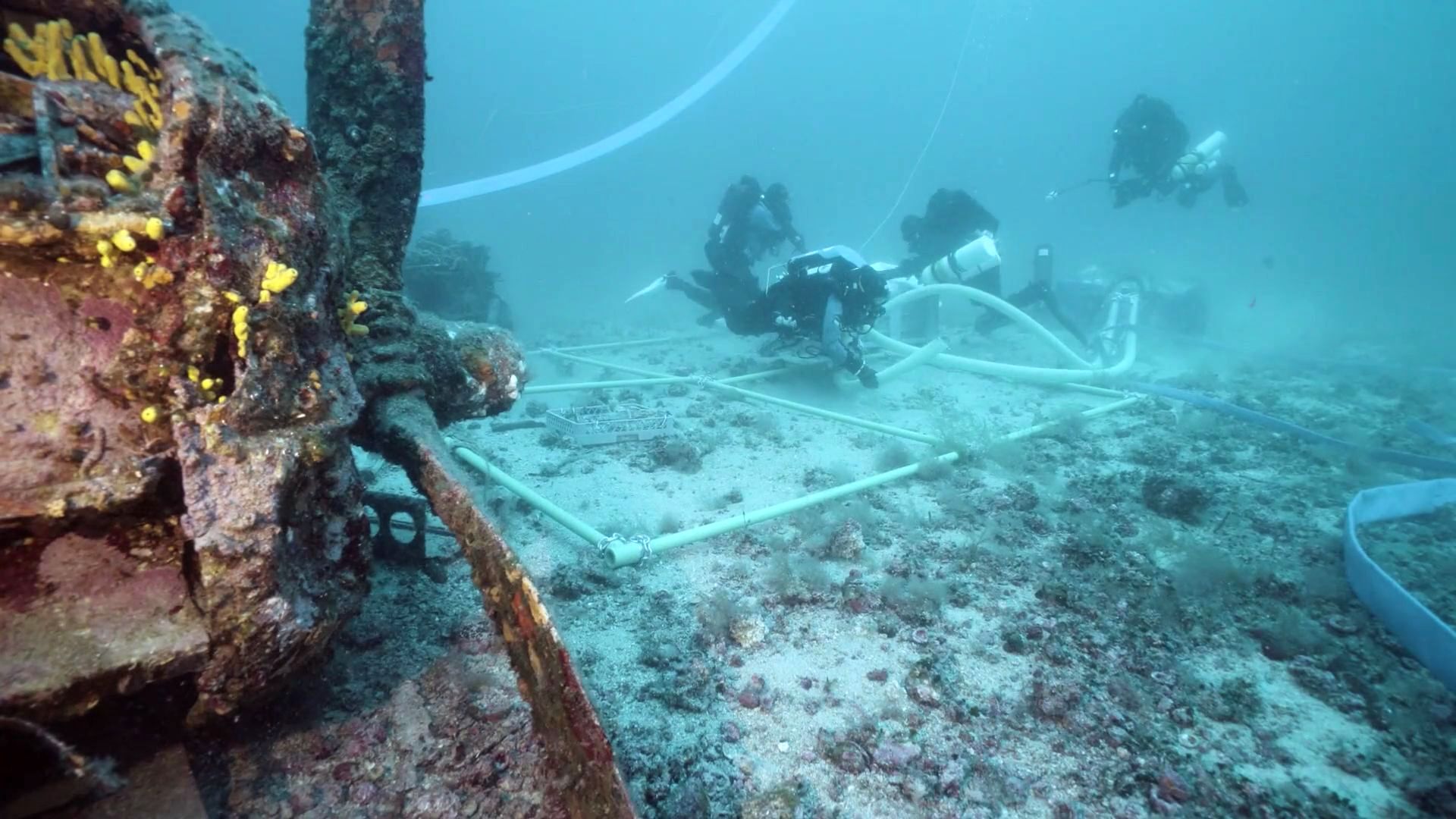 Zadarski podvodni arheolozi na istraživanju ostataka potopljenog aviona kod Visa Zadarski podvodni arheolozi na istraživanju ostataka potopljenog aviona kod Visa