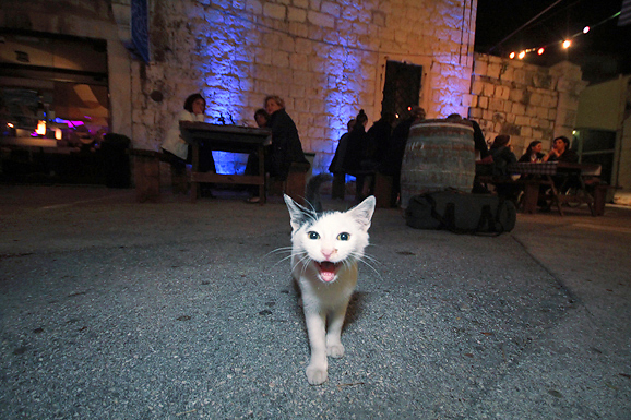 Arsenal: ”Četiri hobotnice” (foto:Saša Čuka)