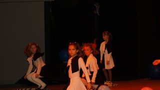 Plesno kazalisna udruga Zalet